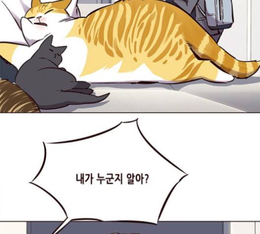 일렉시드 100화 5