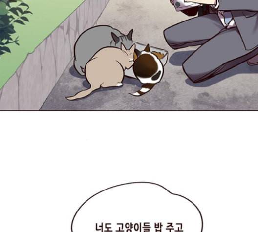 일렉시드 100화 20