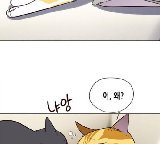 일렉시드 101화 5