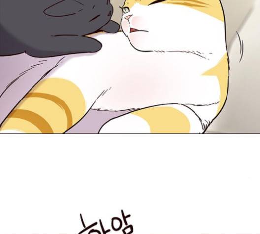 일렉시드 101화 6