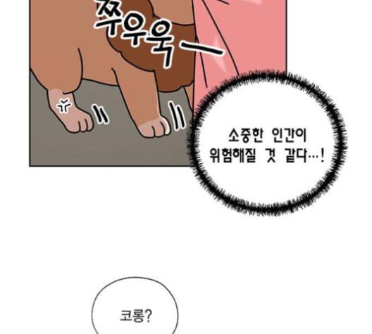 용왕님의 셰프가 되었습니다 35화 11