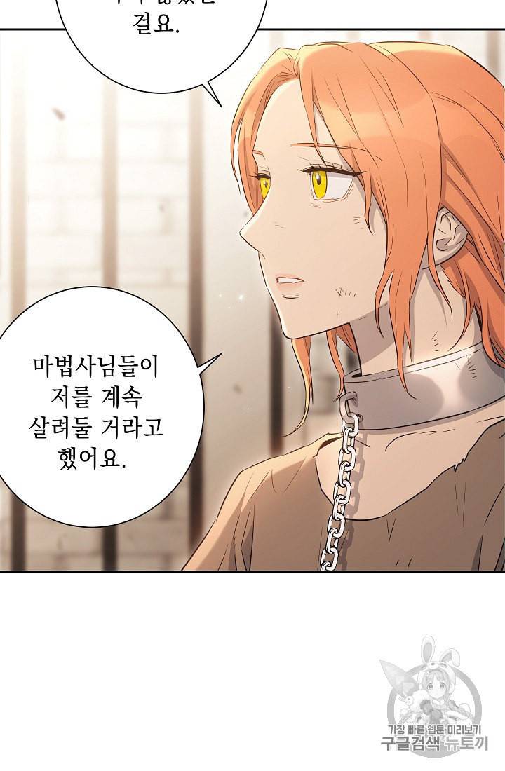 해골병사는 던전을 지키지 못했다 124화 17