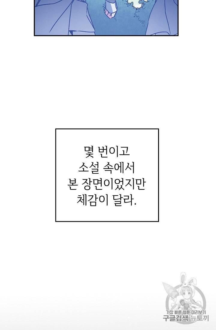 소설 속 악녀 황제가 되었다 33화 107