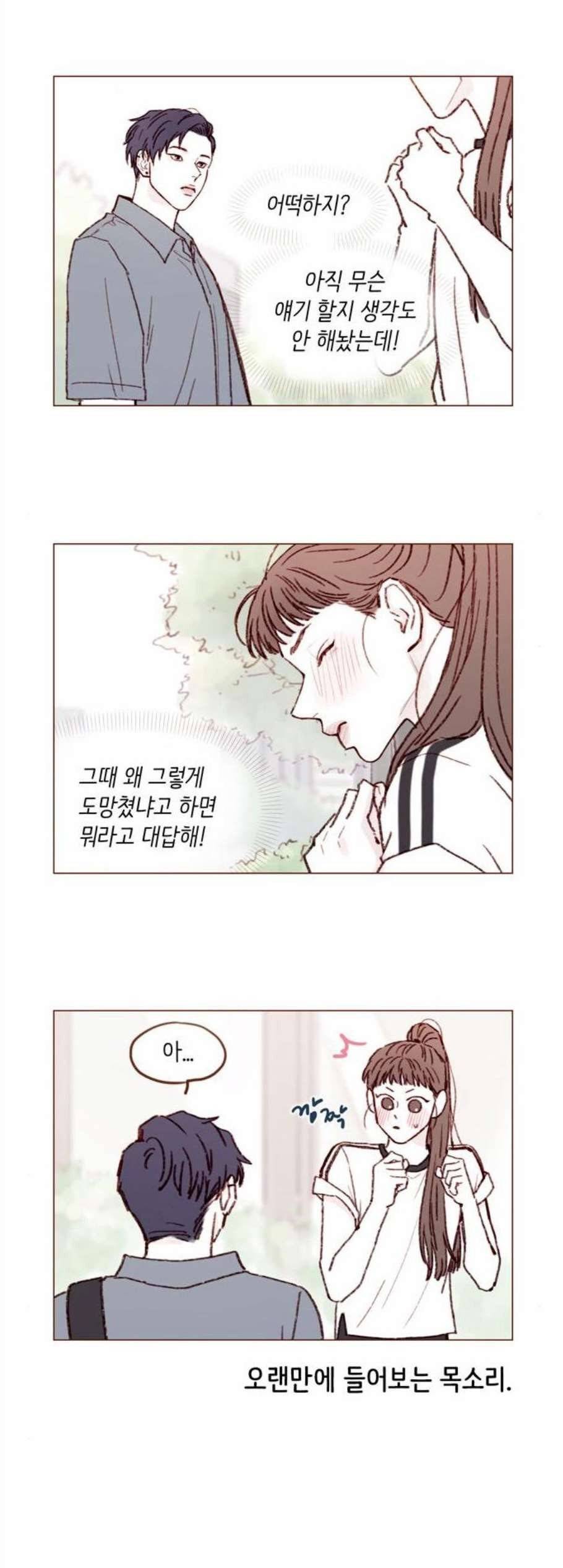 홍시는 날 좋아해! 148화 2