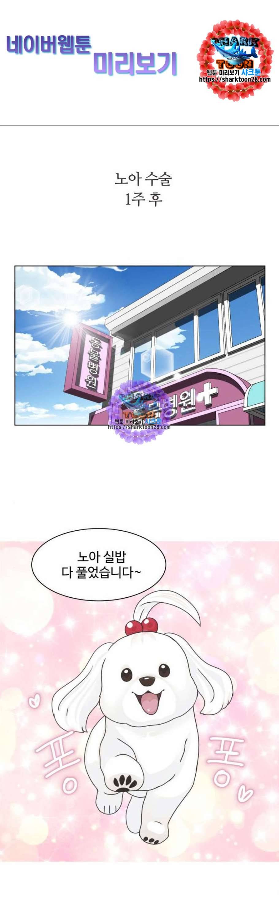 개를 낳았다 시즌2 38화 1