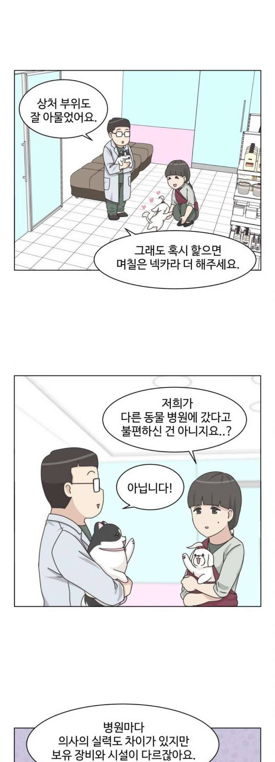 개를 낳았다 시즌2 38화 2