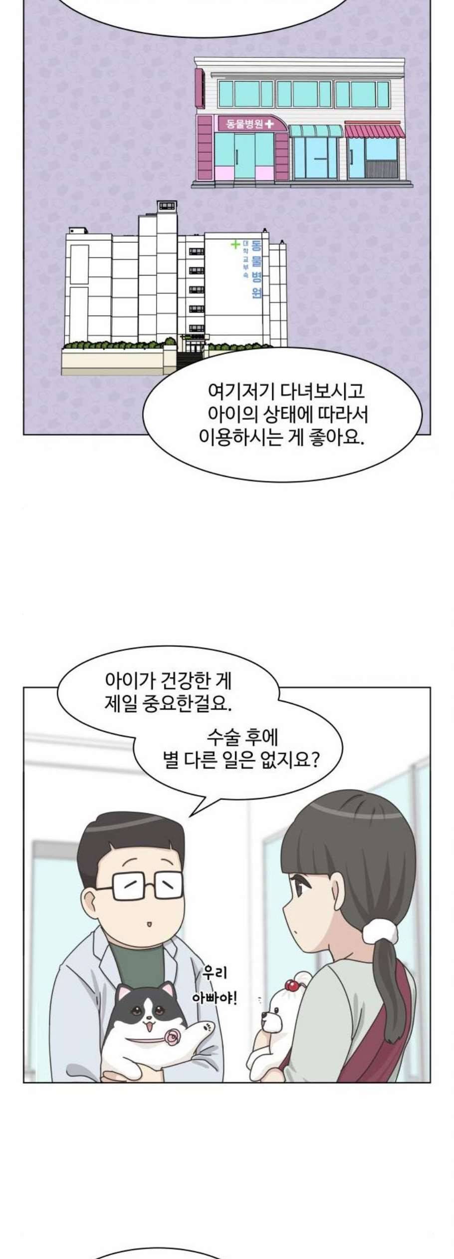 개를 낳았다 시즌2 38화 3