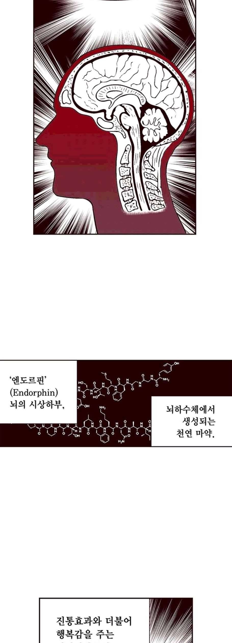 격기3반 170화 진통제 1 네이버 14