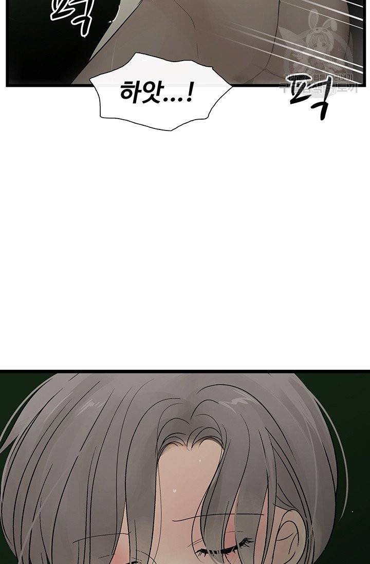 토템의 영역 23화 11