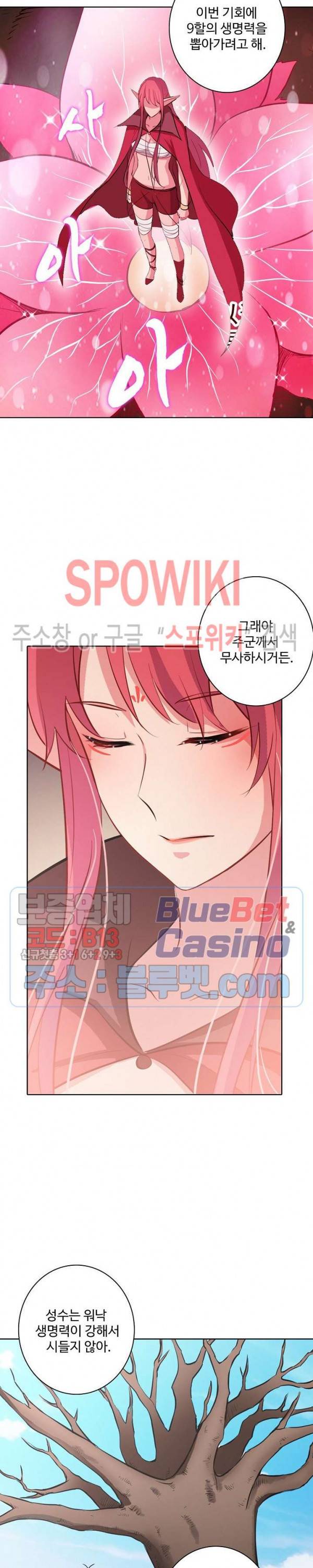 백련성신 316화 14