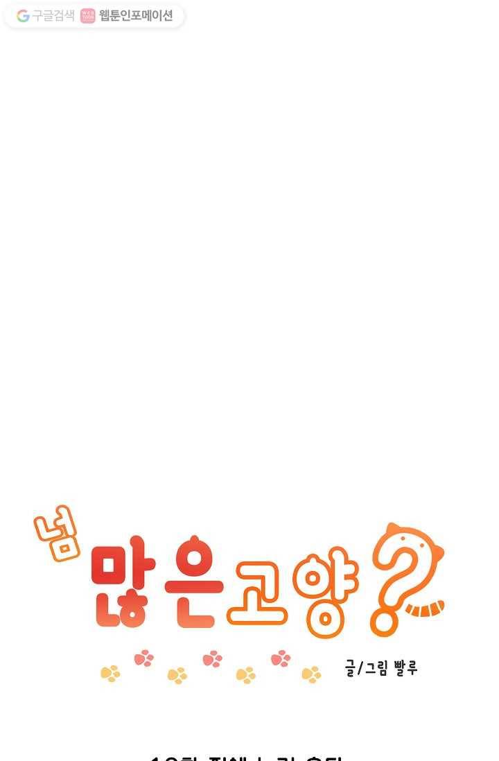 넘 많은 고양! 011화 1