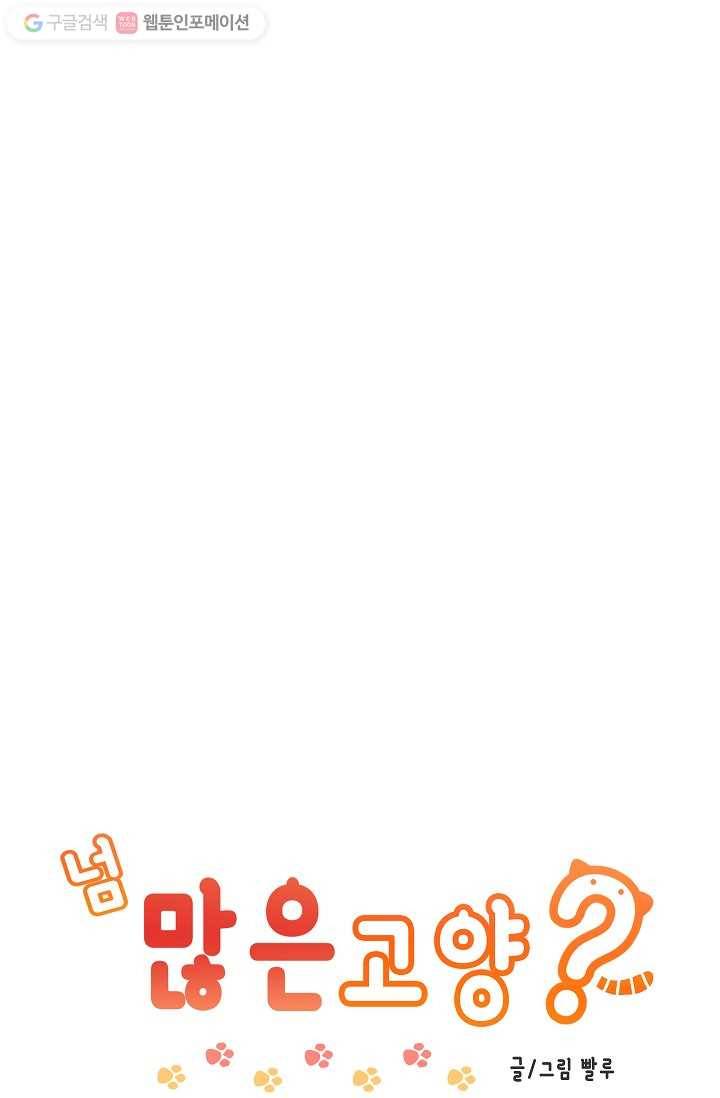 넘 많은 고양! 027화 1