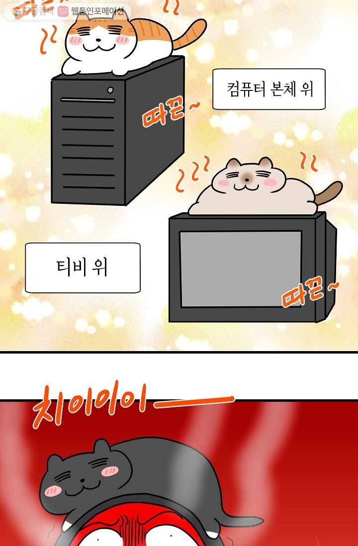 넘 많은 고양! 027화 3