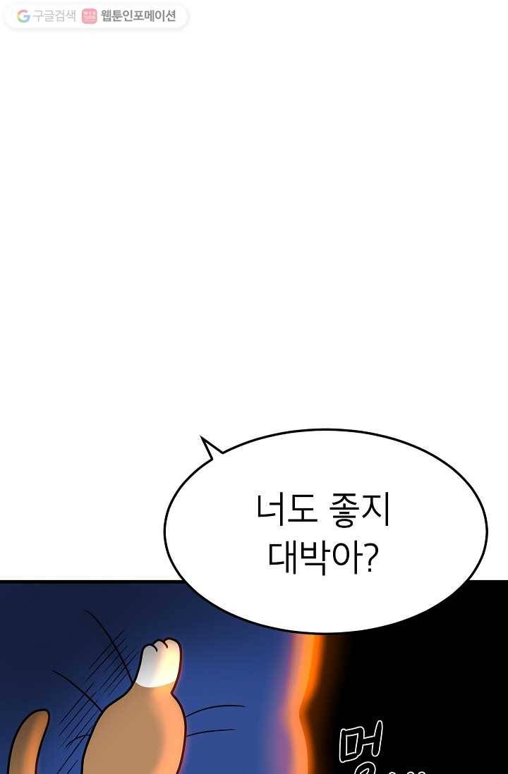 넘 많은 고양! 027화 8