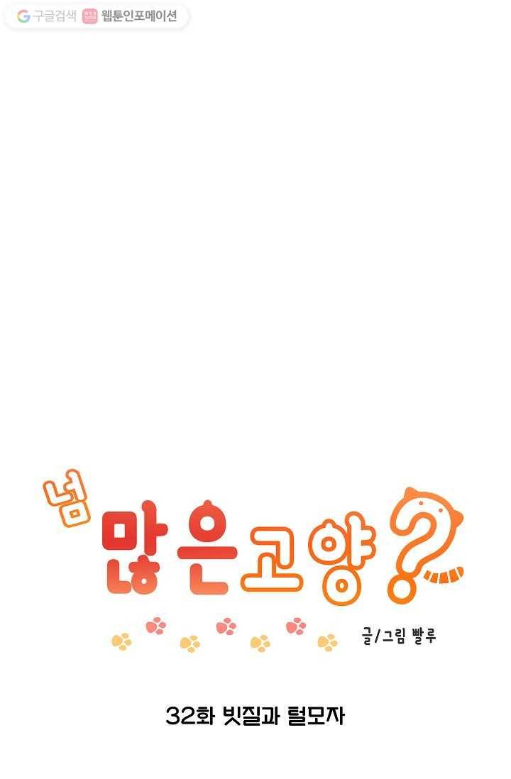 넘 많은 고양! 033화 1