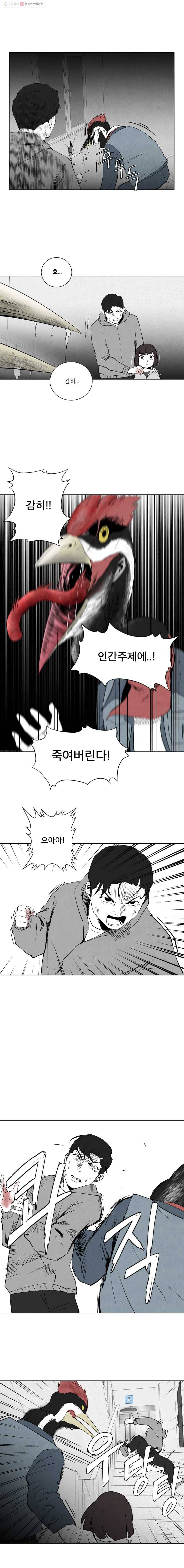 조류공포증 31화 4