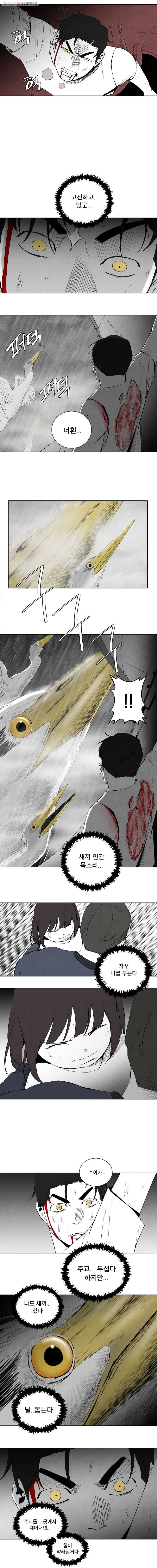 조류공포증 78화 12