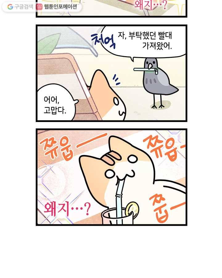 지구의 주인은 고양이다 24화 2