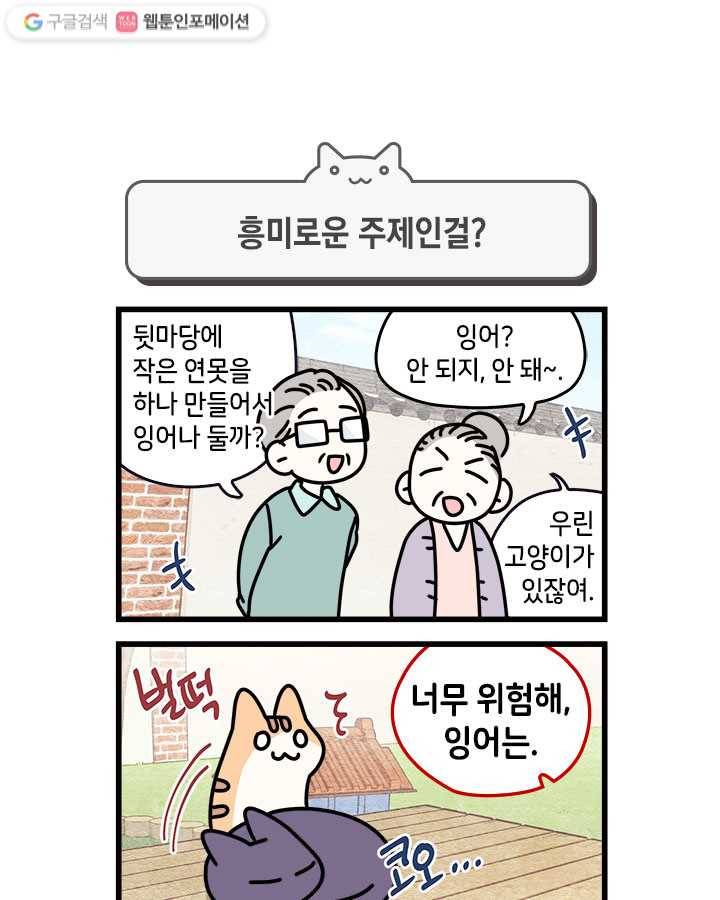 지구의 주인은 고양이다 62화 1