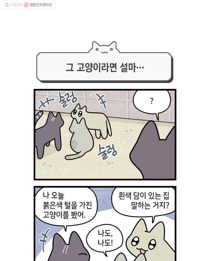 지구의 주인은 고양이다 169화 1