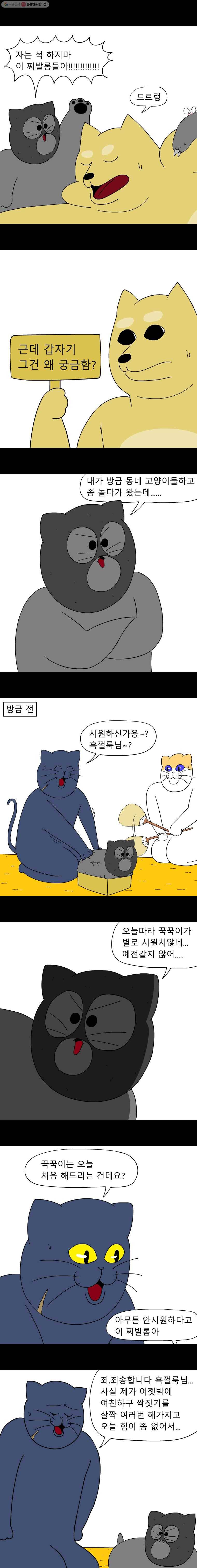 금수친구들 47화 짝짓기 대소동(1) 2