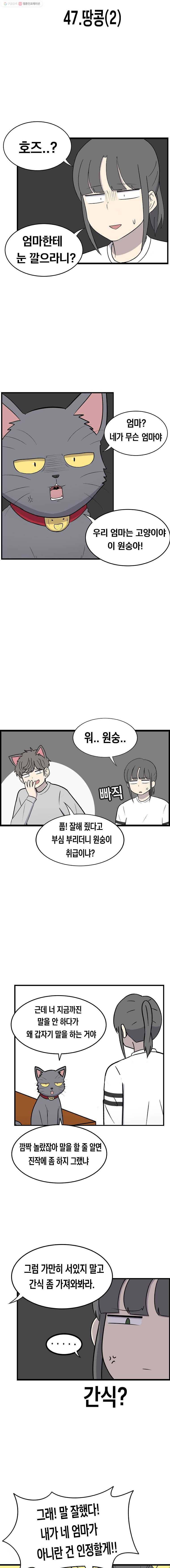 냥냐라냥냥 47.땅콩(2) 2