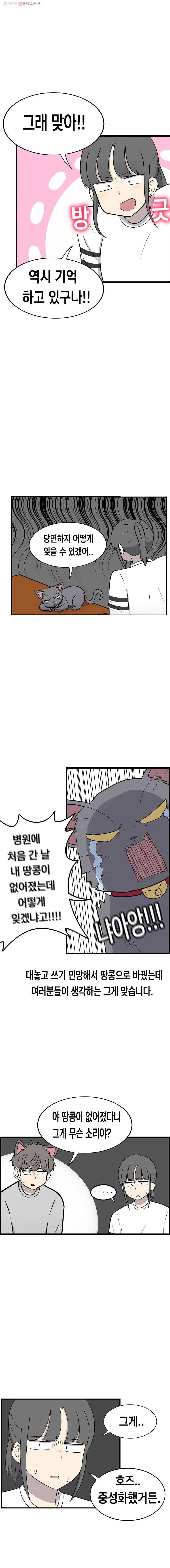 냥냐라냥냥 47.땅콩(2) 5