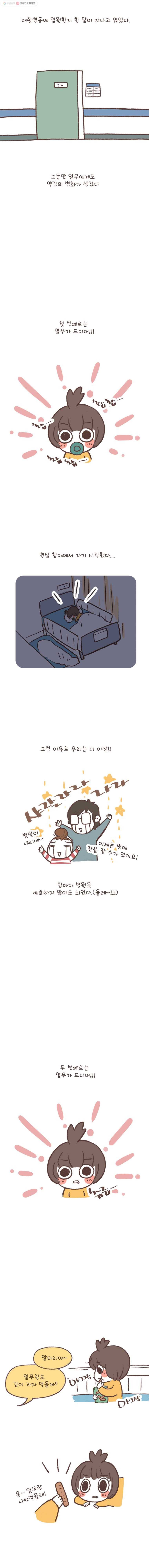 열무와 알타리 43화 슬기로운 재활 병동(11) 2