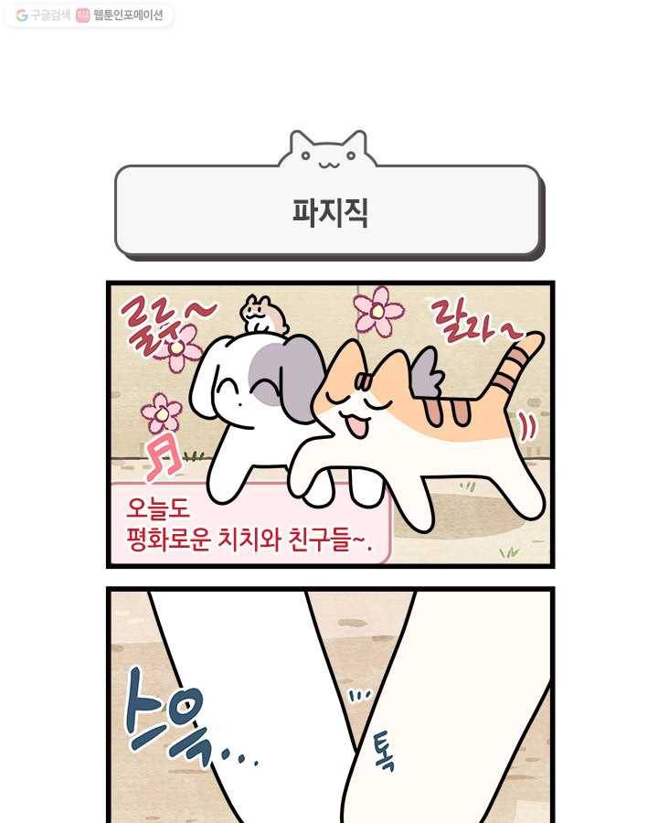 지구의 주인은 고양이다 178화 1