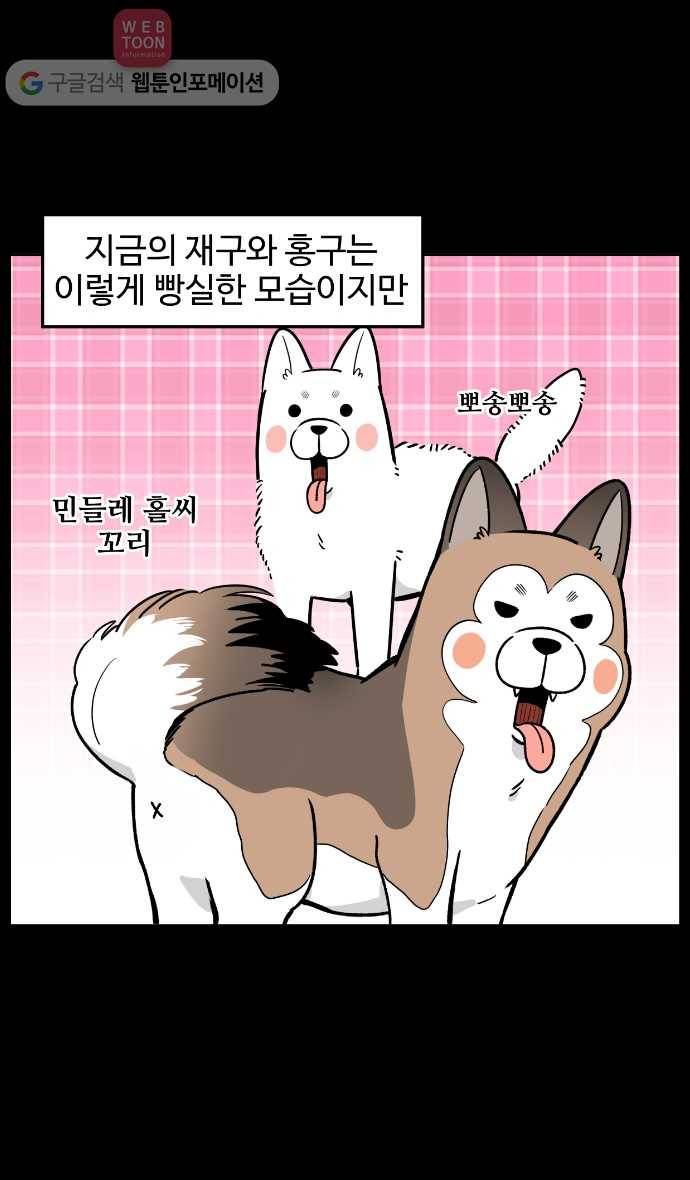 노곤하개 12화 멍멍이의 털갈이 2