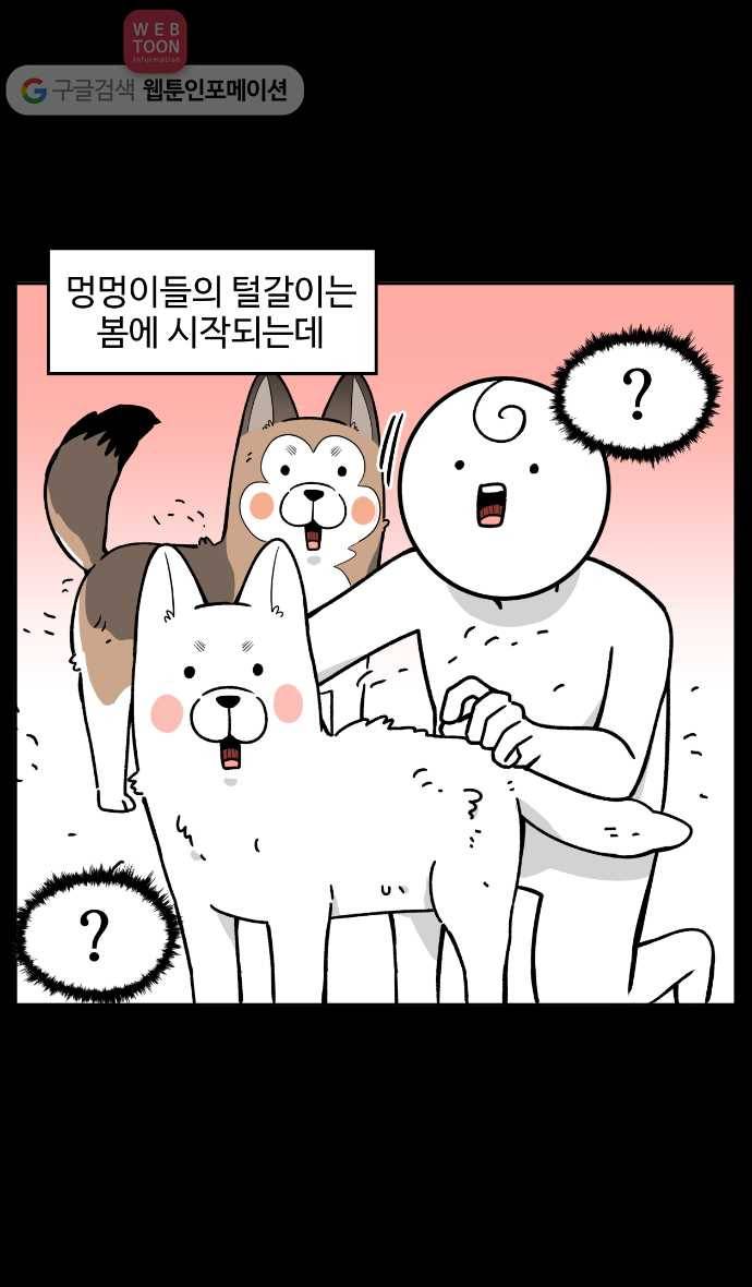 노곤하개 12화 멍멍이의 털갈이 4