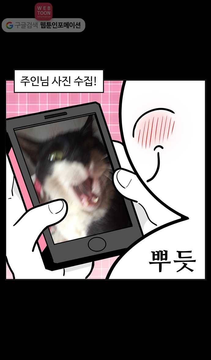 노곤하개 42화 집사들의 취미 4