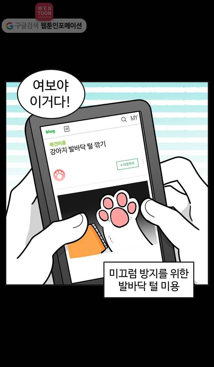 노곤하개 시즌2 3화 멍멍이가 넘어졌다?! (2) 4