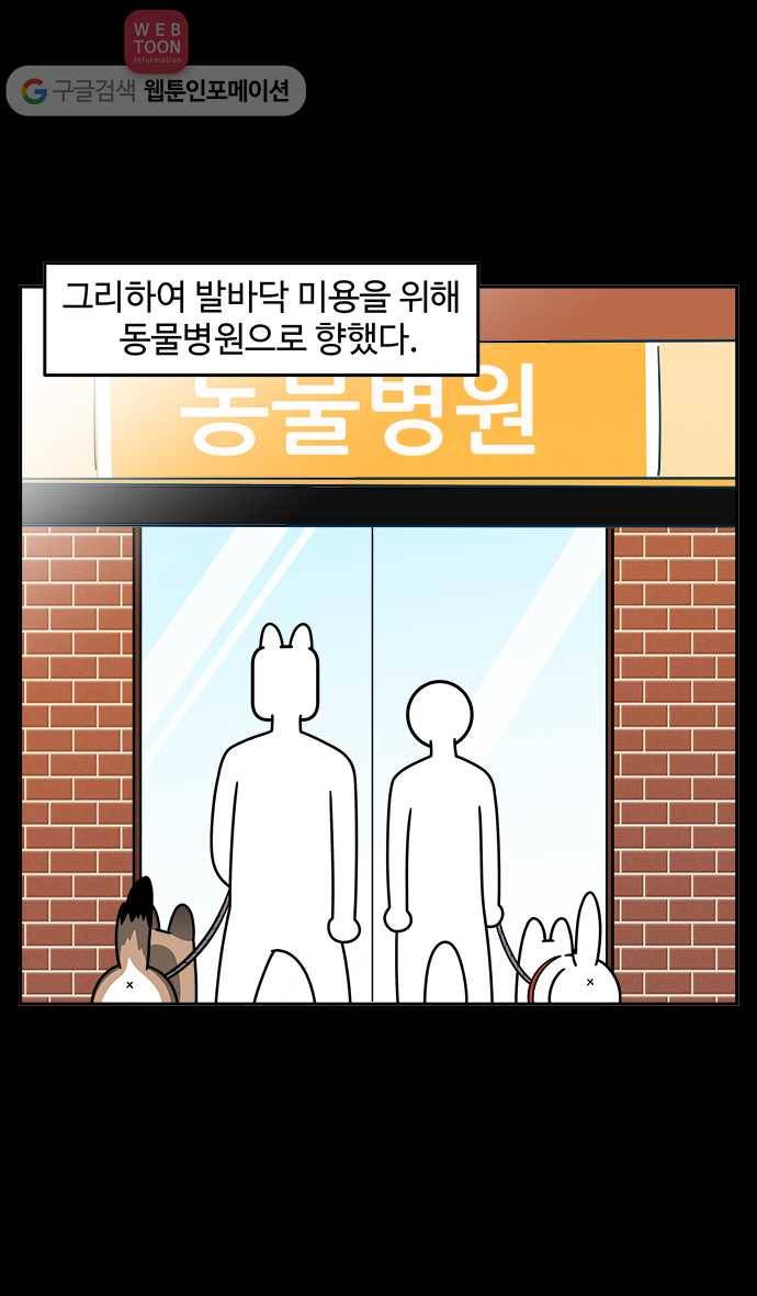 노곤하개 시즌2 3화 멍멍이가 넘어졌다?! (2) 5