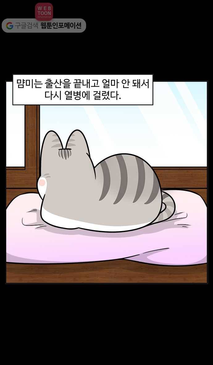노곤하개 시즌2 39화 고양이 먐미 (7) 4