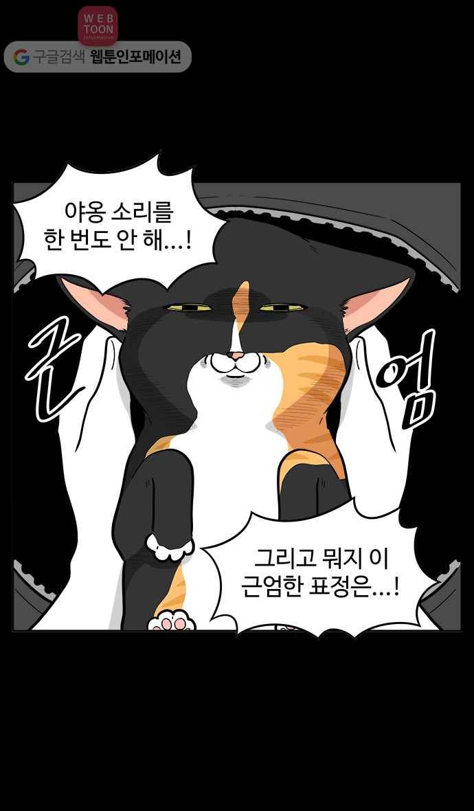 노곤하개 시즌2 45화 욘두의 적응일기(1) 3