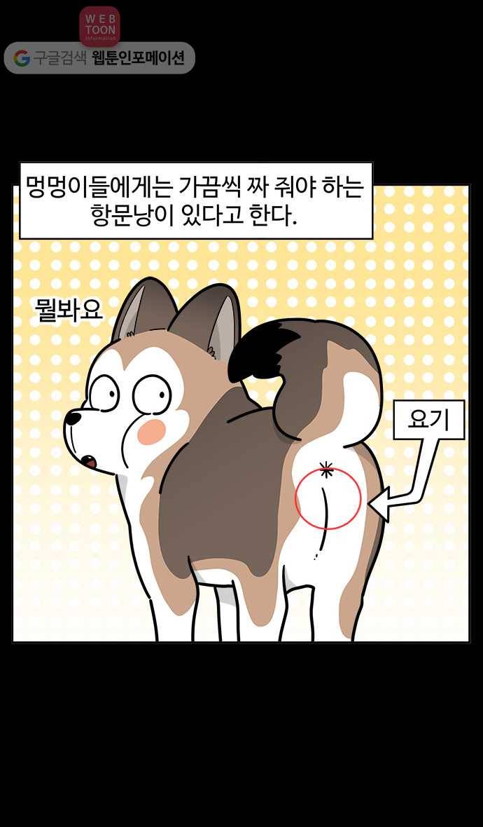 노곤하개 시즌2 51화 항문낭 짜기(1) 2