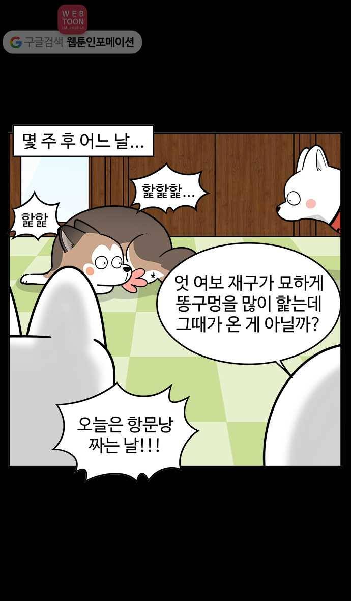 노곤하개 시즌2 51화 항문낭 짜기(1) 15