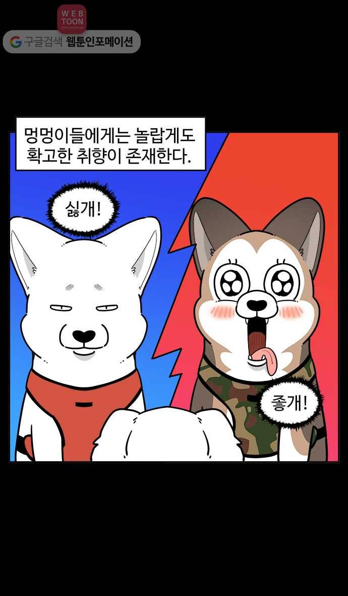 노곤하개 시즌2 57화 멍멍이의 취향 2