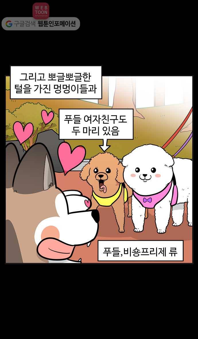 노곤하개 시즌2 57화 멍멍이의 취향 4