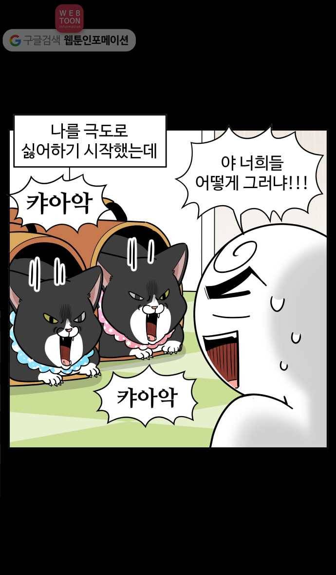 노곤하개 시즌2 76화 바이올린이 우리집에 왔다 5