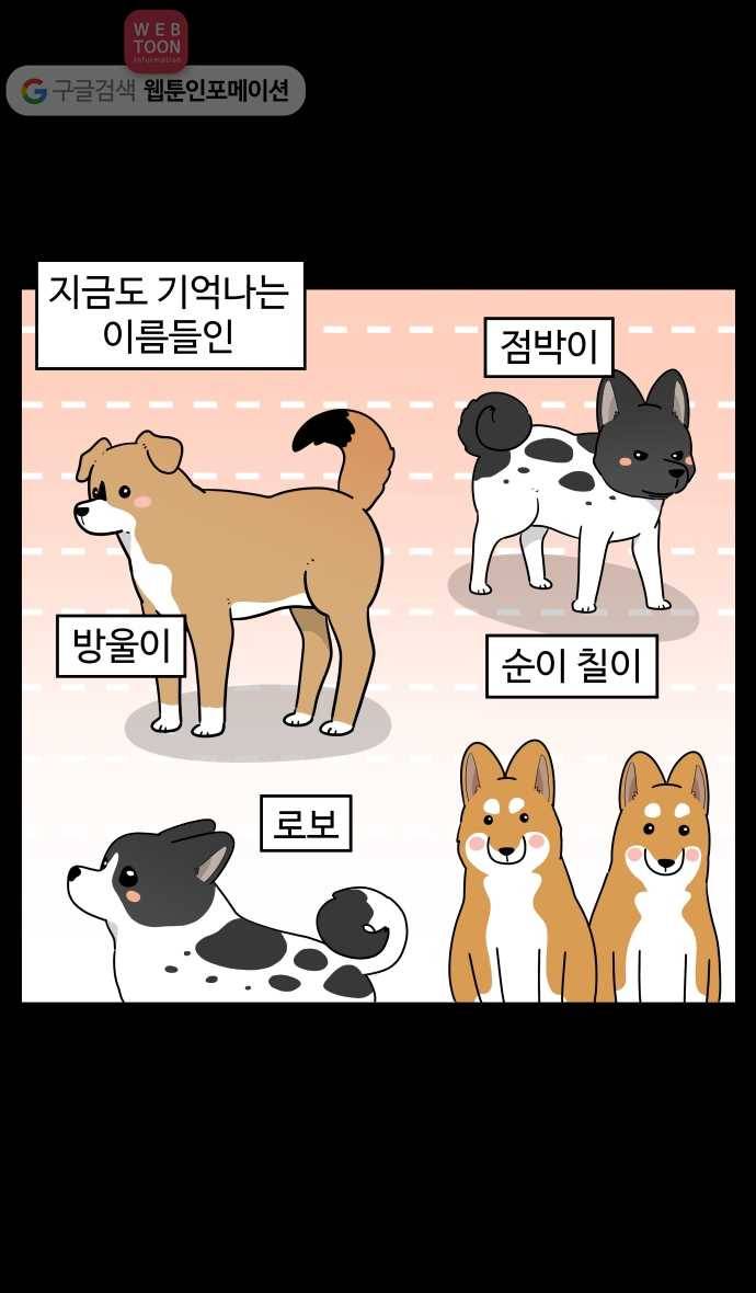 노곤하개 시즌2 97화 1미터의 삶 (1) 3