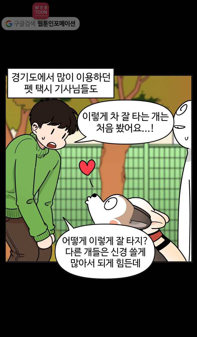 노곤하개 시즌3 25화 멍멍이와 자동차 3
