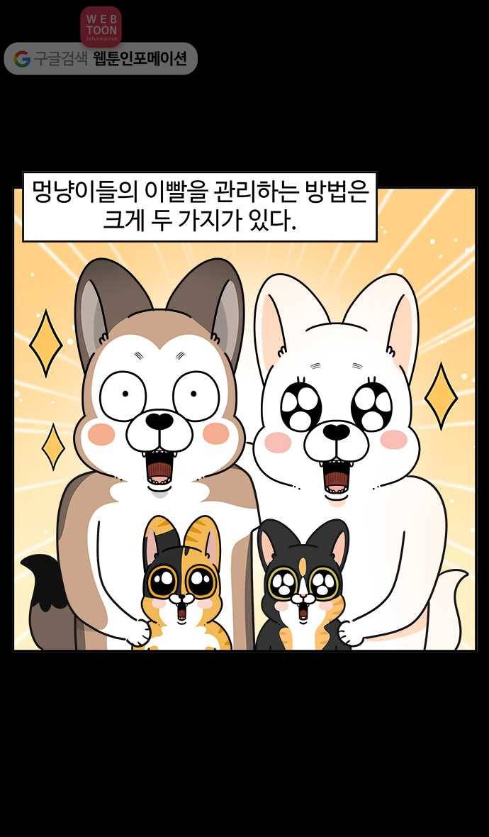 노곤하개 시즌3 45화 멍냥이와 양치질 2