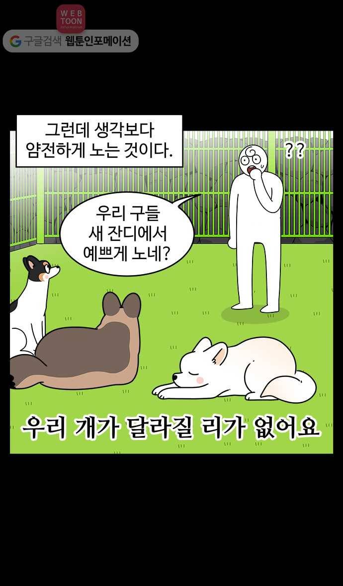 노곤하개 시즌4 3화 마당 꾸미기 (1) 5