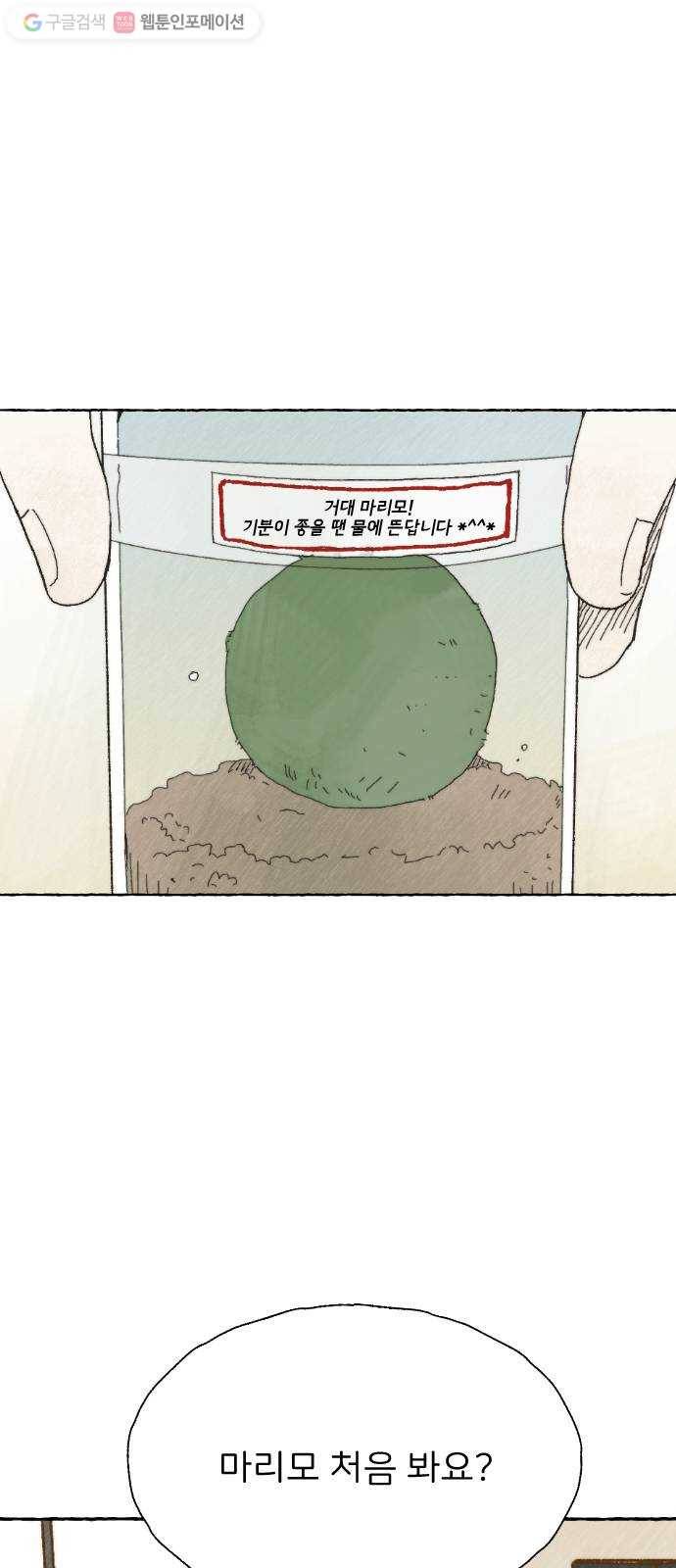 누군가의 로섬 10. 반신반의 2