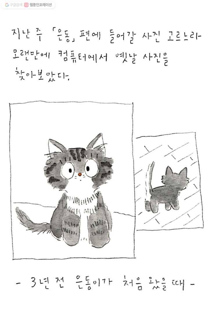 은동은동+옹동스 76화. 수고했어 2