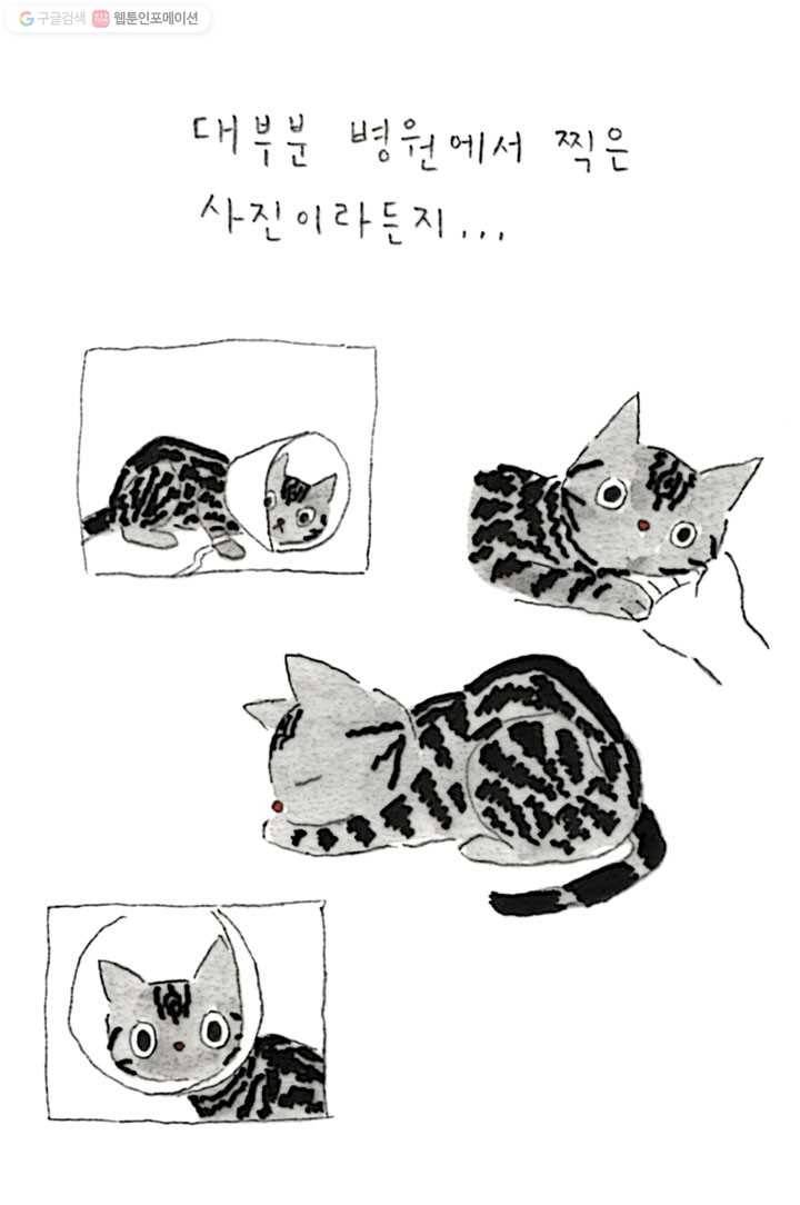 은동은동+옹동스 76화. 수고했어 5