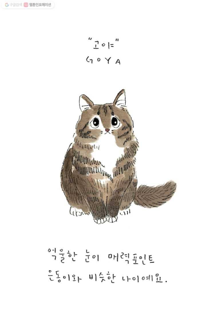 은동은동+옹동스 98화. 고양이와 비행기 타기 3