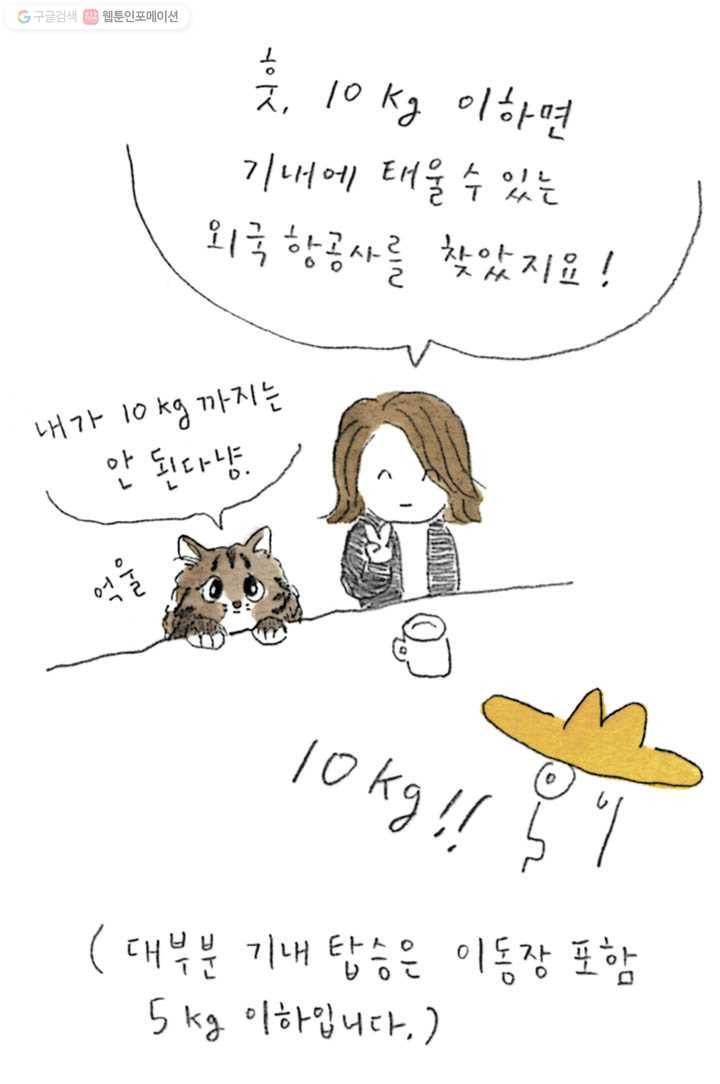 은동은동+옹동스 98화. 고양이와 비행기 타기 5